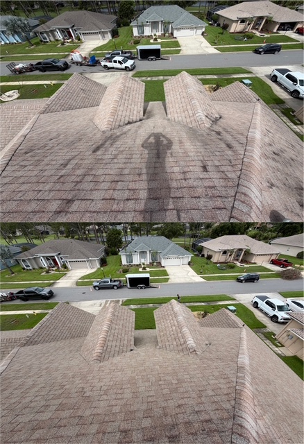Roof Cleaning project photo 4 by Wash and Go