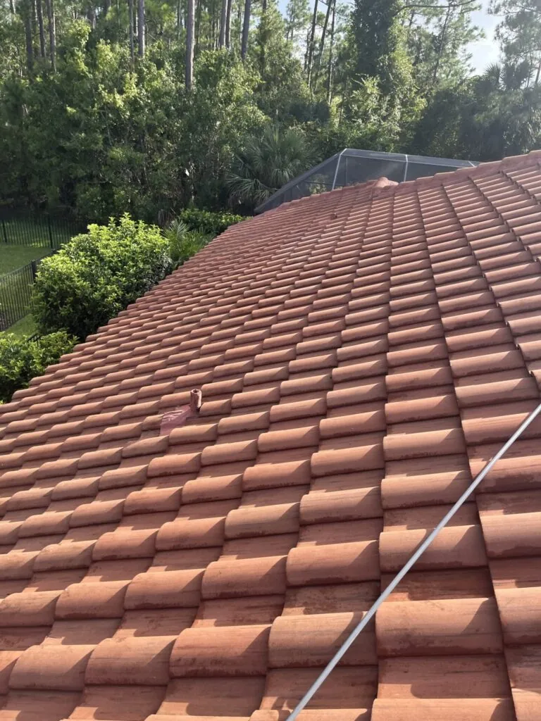 Roof Cleaning project photo 22 by Wash and Go